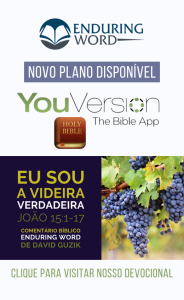 Eu Sou A Videira